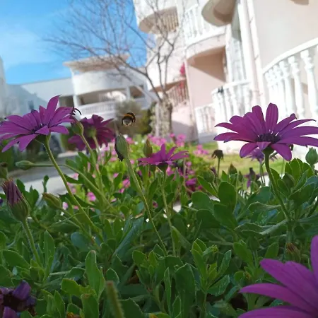 Villas 别墅 Milas